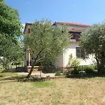 Near In 54481