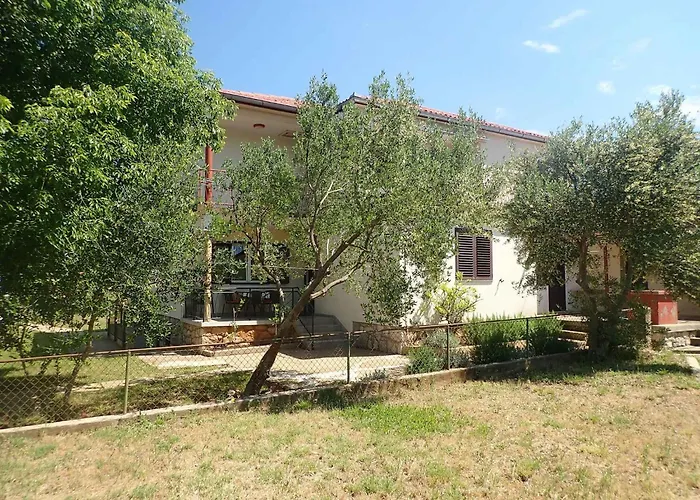 Near In 54481 Селине